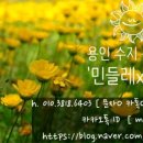 민들레여성복