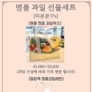 과일담 이미지