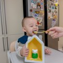 ㈜더바른렌터카 | 베베쿡 추천인 아이디 dalgam89 후기이유식 육아필수템 코코지 바른습관 패키지 베베쿡 새벽배송 시판...