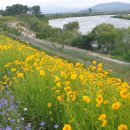 호롱불작은도서관 이미지