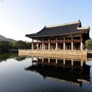 공존행정사사무소 이미지