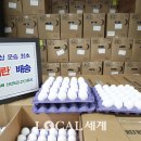 티엔씨 코리아(TNC KOREA) 이미지