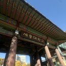 대양 (태권도) | 서울 공연 위대한 쇼 태권 관람후기 (세종대 대양홀)