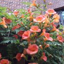 한글비근린공원 이미지