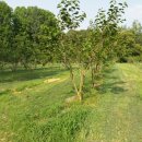 청전농장 이미지