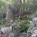 오동골1 이미지