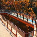 의림지 공영주차장 이미지