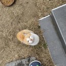 어느주택 | 경남 창녕, 촌캉스 숙소 &#39;어느주택&#39; (자쿠지, 야외바베큐, 산멍, 불멍) 대구 근교 숙소 _ 내돈내산 후기