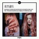 퀸즈헤어 이미지