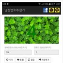 마이러브 표고