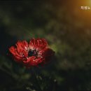 지성노인요양센터 이미지