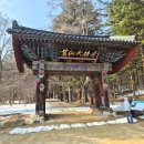평창 월정사 팔각구층석탑 | 평창 오대산 월정사 팔각구층석탑과 전나무숲길 무장애 탐방로(순환형 코스)
