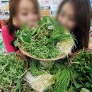 예전 이미지