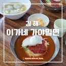 김해시청 맛집 정통 이가네가야밀면