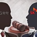 미국 ITC, SK이노베이션에 '조기패소' 결정..LG화학 손 들어줘 이미지