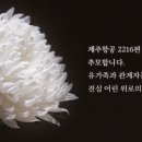 평화와평화;산책종점 이미지