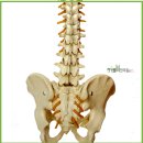 (주)하우림 이미지