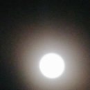 서망항2 이미지