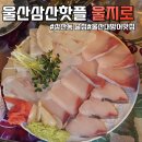 짱오락실 울산 삼산점 | 삼산동술집에서 제대로 즐긴 대방어 한상 울지로 솔직 후기