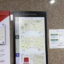K.S유통매점 | 대구 혼수침대 추천 OK혼수백화점 템퍼 구매 후기, 프리마 미디엄 K + W&S 모션베이스 선택한 이유