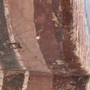 금정구민운동장 마사토 운동장 | 2026년 정월대보름 일상노트 - 통도사 우담바라와 공작새출현