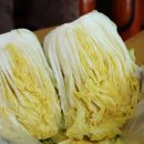 학동농장 이미지