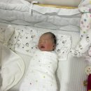 노블맘 산후조리원 | 안양 노블맘산후조리원 후기 (VIP 3주)