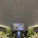 금빛가든 | 드레스가든 청담 본식 후기 2024.08.25