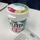 더벤티화순전대