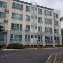 회수동-1 Daum카페