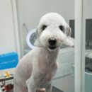 그 남자의 grooming # 공간 이미지