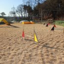 파주애견미용센터 이미지