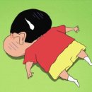 애견의 정원 이미지