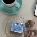 별헤는솝