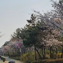 오성주점 네이버블로그