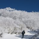 광성장여관 이미지