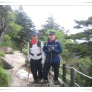 정곤 이미지