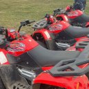 해성농장 | 10만원대로 2박 3일 제주도여행 | 2일차(feat.제주투어패스)