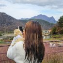 단델리온풀빌라 이미지