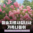 6월에 꼭 가야 할 논산 장미정원! 꽃이랑나무랑 평일 방문 후기