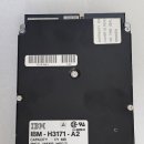 H3171 네이버블로그