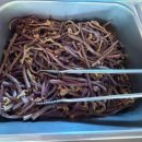 만복국수천안직산점 | [천안 한강대교] 천안 직산 고깃집 직산 냉삼 맛집 소주 한 병에 990원 행사 회식 모임 추천