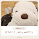 세븐일레븐아산테크노이지원점 | 디어왁싱 | 천안아산 임산부왁싱 유기농 저통증 슈가링왁싱 내돈내산 임신33주 왁싱후기