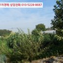 교동면-4 이미지