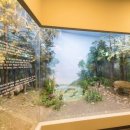 전북대학교자연사박물관 이미지