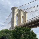 덤보커피 이미지