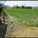 (구)풍천중학교 이미지