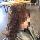 익산대학로 이미지