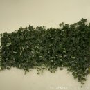 루원시티 대성베르힐아파트 입구우측 | [인천/루원시티] 주차 편하고 시야가 탁 트인 대관형 키즈카페, '착한토끼' 솔직 방문기!