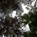 재일농장 이미지